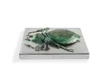 Stella Shawzin, Leaf Beetle