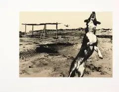 Jo Ratcliffe, Nadir 6, Nadir Series, screen printed photographic lithograph