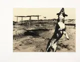 Jo Ratcliffe, Nadir 6, Nadir Series, screen printed photographic lithograph