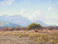 Johannes Blatt, Sunlit South West African Landscape Savannah Plains, gouache on paper