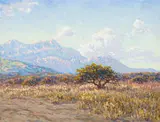 Johannes Blatt, Sunlit South West African Landscape Savannah Plains, gouache on paper