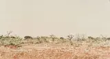 Adolph Jentsch, Namibian Landscape