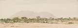 Adolph Jentsch, S W afrika (sic)