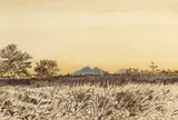 Adolph Jentsch, S W Afrika (sic)