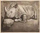 Zakkie Eloff, Resting Rhinoceros, etching on paper