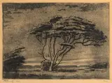 Jacobus Hendrik Pierneef, Study of a Tree, etching on paper