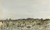 Adolph Jentsch, sud west afrika (sic)