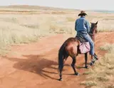 Sipho Ndlovu, Spoor of a Lost Bull