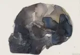 Joni Brenner, Skull, watercolour on paper