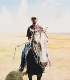 Sipho Ndlovu, Cattle Man in Vrede