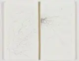 Marcus Neustetter, Abstract Composition, diptych, ink on paper