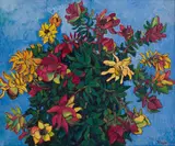 François Krige, Study of Leucadendrons, oil on board