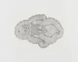 Walter Oltmann, Infant, letterpress on chine collé on paper