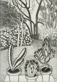 Bronwen (Jinny) Heath, Pot Plants