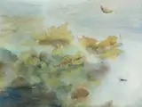 Anna Liebenberg, Float, 2022, watercolour on paper