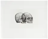 Gerhard Marx, Binocular Skull I, hardground etching on zerkall intaglio paper