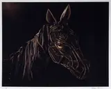 Adrian Kohler, War Horse, photographic print on paper