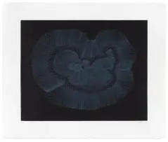 Walter Oltmann, Cradle, chine collé and lithograph on paper