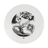 Christiaan Diedericks, Flying Lesson, Cold Sweat Series, etching on paper