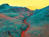 Dillon Marsh, Fever Dream 7/21, digital inkjet print on Hahnemühle photo rag Baryta