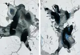 Kyra Pape, To meet with disaster… I & II, archival ink on Fabriano paper