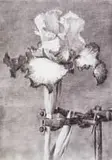 Iris II (In Clamp) by William Kentridge, 2005, digital print with pigment inks on cotton rag paper, sold May 2023