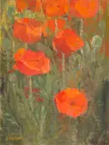 Frank Spears, A Growth of Poppies, oil on canvas laid down on board