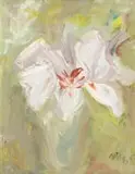 Heidi Herzog, Lelie (Lily), oil on canvas