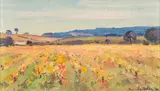 Piet van Heerden, Autumn Vineyard (Between Paarl and Stellenbosch), recto; Hermanus, verso