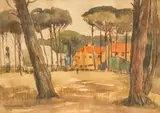 Nerine Desmond, The South African College (Cape Town)