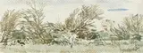 Adolph Jentsch, Bosveld (Bushveld), watercolour on paper