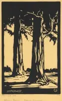 Jacobus Hendrik Pierneef, Bloekombome (Eucalyptus trees) (Nilant 77), linocut on paper