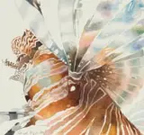 Leigh Voigt, Devil Fish I