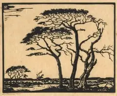 Jacobus Hendrik Pierneef, Kameeldorings, Springbokvlakte (Camelthorns, Sprinkbok Plains) (Nilant 95), linocut on paper