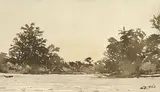 Adolph Jentsch, Sudwest Afrika