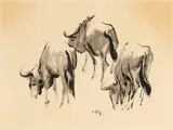 Zakkie Eloff, Drie Wildebeeste (Three Wildebeest)