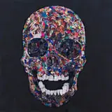 Vitshois Mwilambwe Bondo, Skull, collage and mixed media on canvas