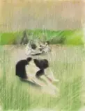 Lionel Abrams, Le Déjeuner sur l'Herbe