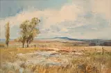 Christopher Tugwell, Landscape, Dam, Fence and Trees, oil on board