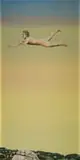 Aidan Walsh, Levitation over Concordia, oil on canvas