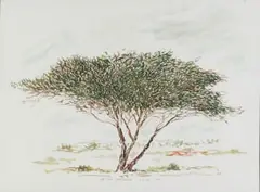 Esias Bosch, Landscape with Tree, watercolour on paper