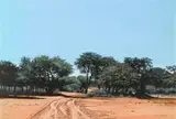 John Meyer, Bushveld Road