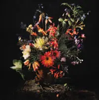 Andrew Putter, Detail of a sketch for Flora Capensis, 2008, archival pigment inks on 300g cotton rag paper