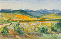 Hugo Naude, Namaqualand, oil on board