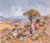 Conrad Theys, Statige Kokerboom (Stately Quiver Tree)