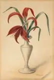 Jan Ernst Abraham Volschenk, Maltese Lily in a Vase