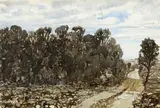 Neil Rodger, A Road through a Wooded Landscape