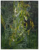 Gabrielle Kruger, Water Willow, acrylic on board