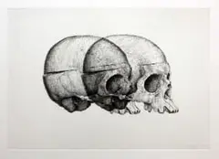 Gerhard Marx, Binocular Skull II, hardground etching on zerkall intaglio paper