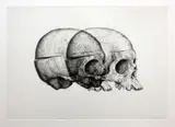 Gerhard Marx, Binocular Skull II, hardground etching on zerkall intaglio paper